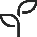 Hedera Logo Pflanze